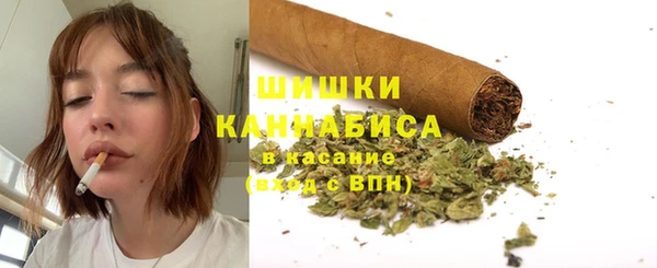 Альфа ПВП Белокуриха
